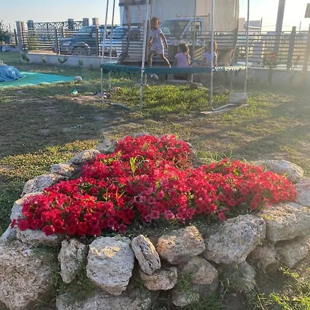 Woodvillage On The Blacksea *