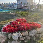 Woodvillage On The Blacksea *